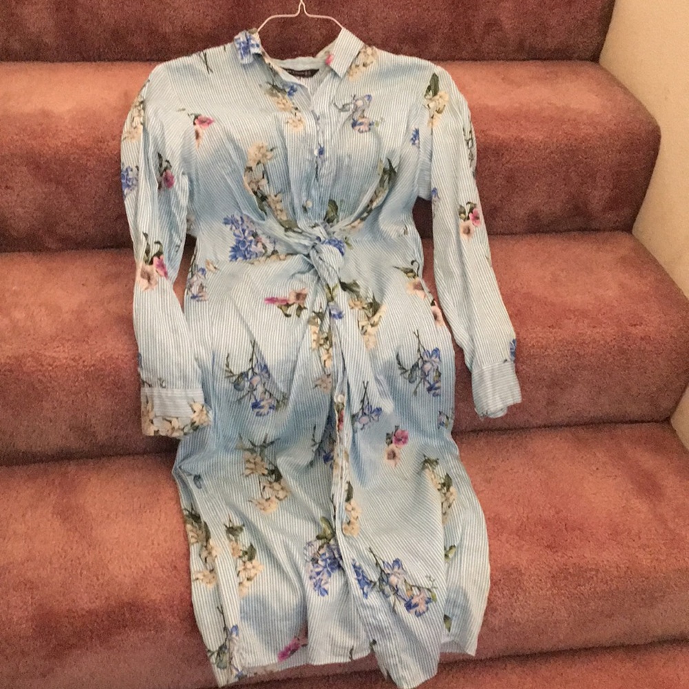 Light blue Pinstripe with floral print Zara dress